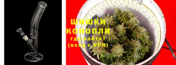 ГАЛЛЮЦИНОГЕННЫЕ ГРИБЫ Надым