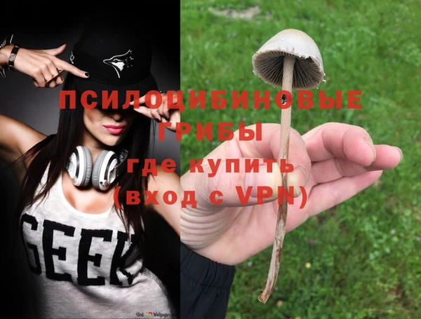 ГАЛЛЮЦИНОГЕННЫЕ ГРИБЫ Надым