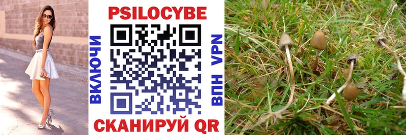 Галлюциногенные грибы Psilocybe  купить наркоту  Рыбное 