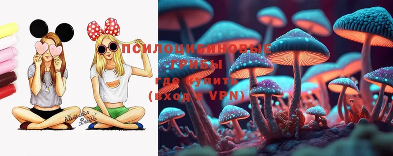 Галлюциногенные грибы Cubensis  Рыбное 